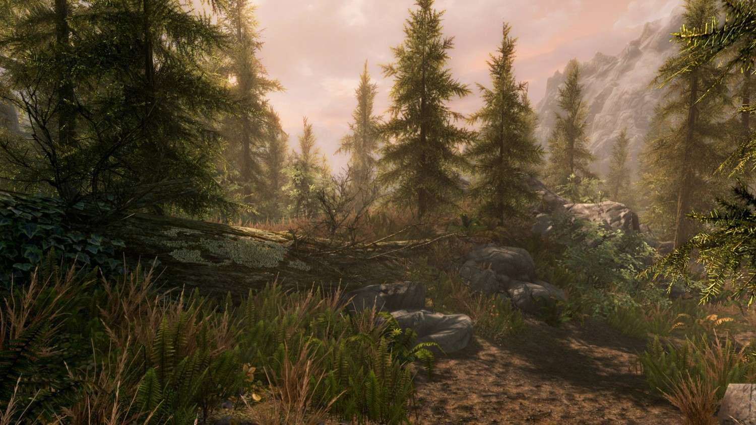 фото The Elder Scrolls 5 Skyrim Special Edition + Legendary Edition репак на русском Море Игр
